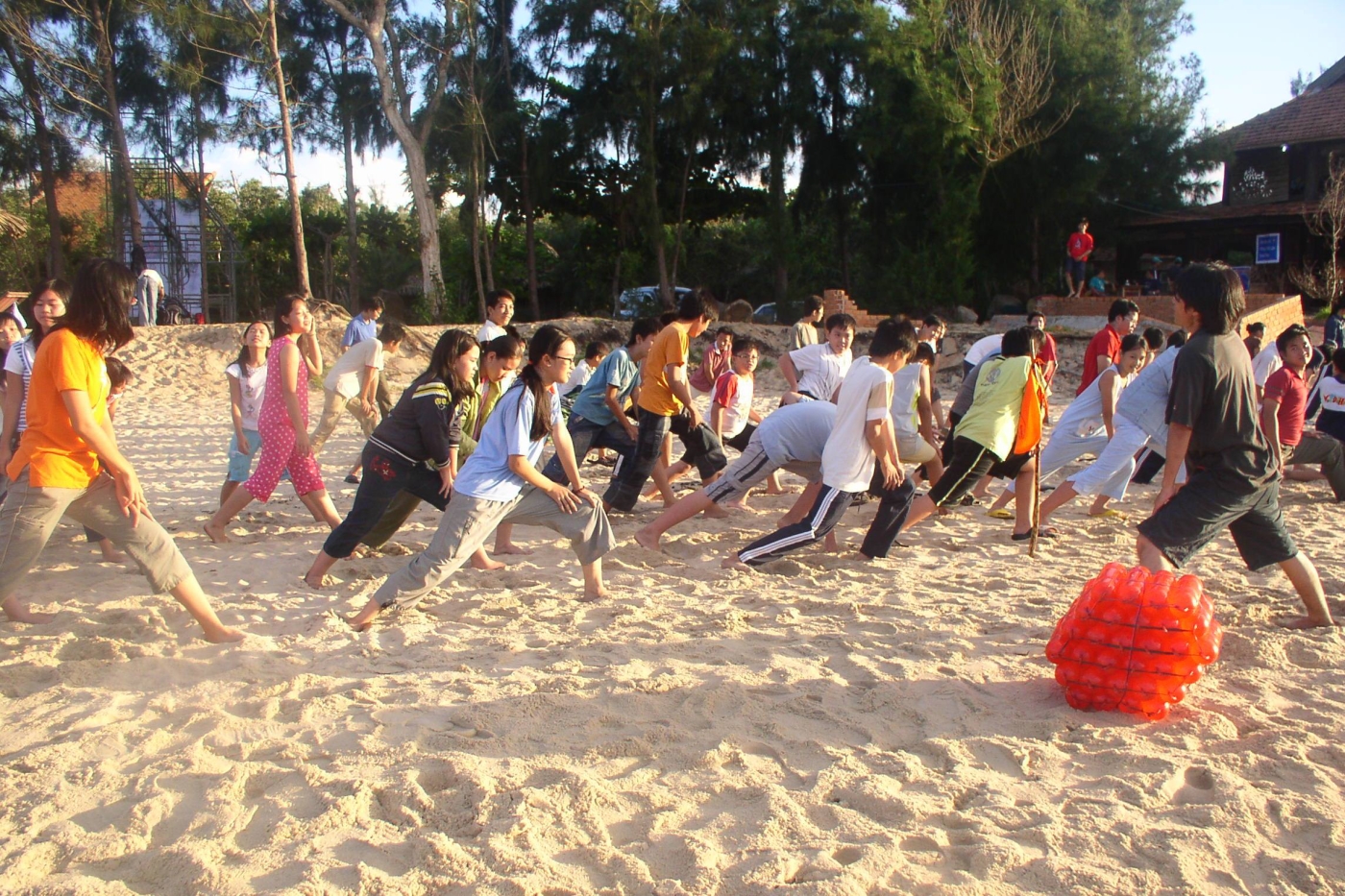 OLYMPUS DIGITAL CAMERA